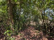 Image of property