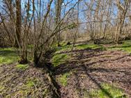 Image of property
