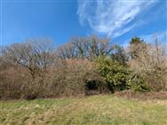 Image of property