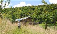 Image of property