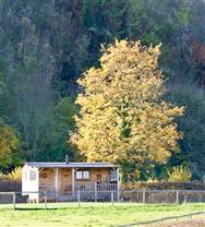 Image of property