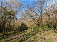 Image of property