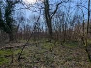 Image of property