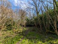 Image of property