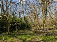 Image of property