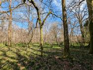 Image of property