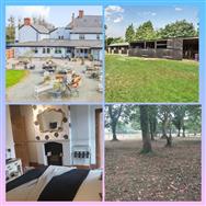 Click to view more details