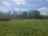 Image of property