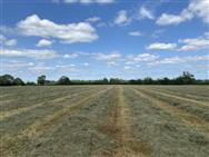 Image of property