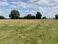 Image of property