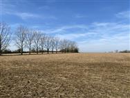 Image of property