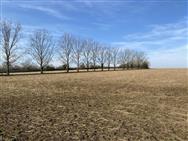 Image of property