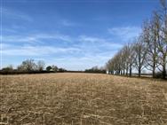 Image of property