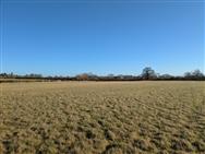 Image of property