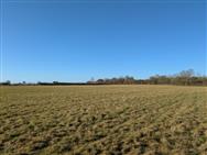 Image of property