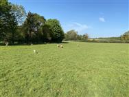 Image of property