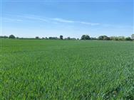 Image of property