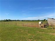 Click to view more details