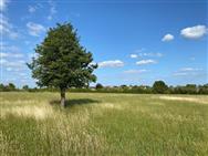 Image of property