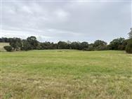 Click to view more details