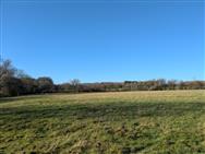 Image of property