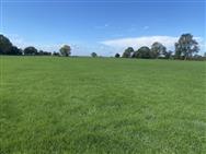 Click to view more details