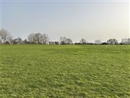 Click to view more details