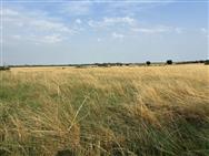 Image of property