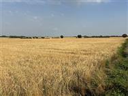 Image of property