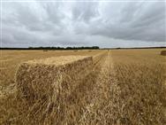 Image of property