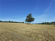Image of property