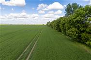 Image of property