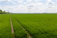 Image of property