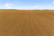 Image of property