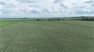 Image of property