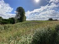 Image of property