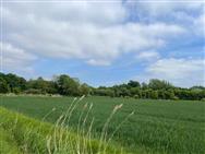 Image of property