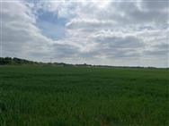 Image of property