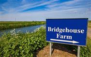 £14,300,000 - Peterborough 9