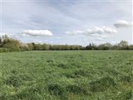 Image of property