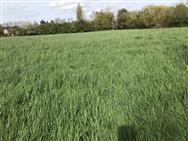 Image of property