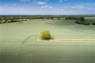 Image of property