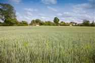 Image of property