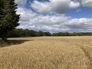 Image of property