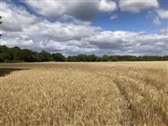 Image of property