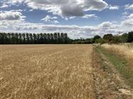 Image of property