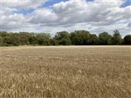 Click to view more details