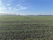 Image of property