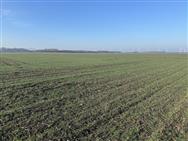 Image of property