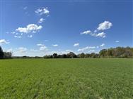 Image of property